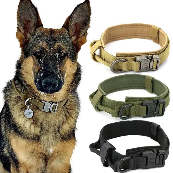 Dog Collar,Dog Collar,The Gift Dimension