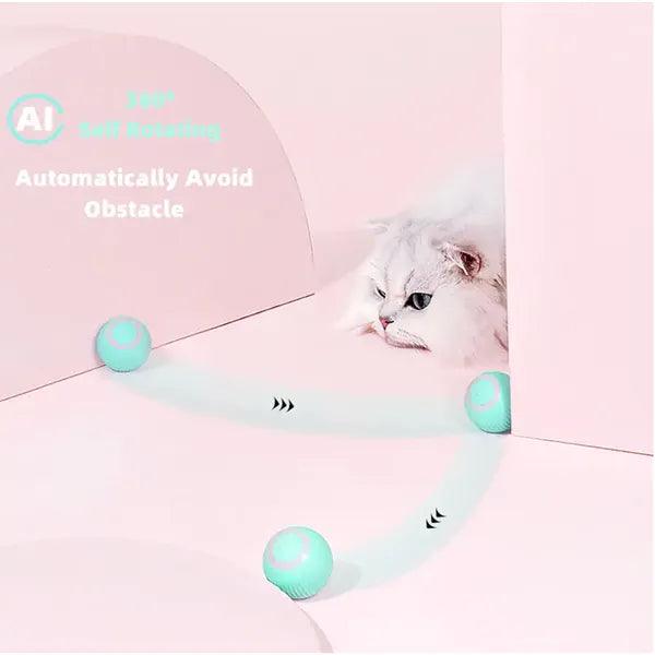 Smart Cat Ball Toys,,The Gift Dimension