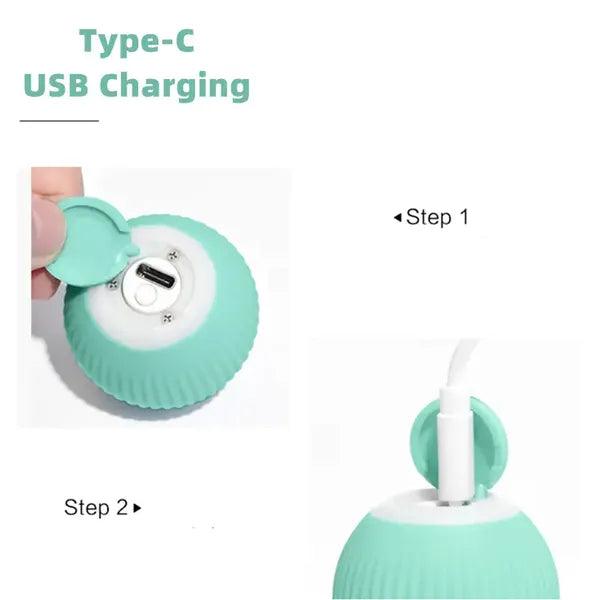 Smart Cat Ball Toys,,The Gift Dimension