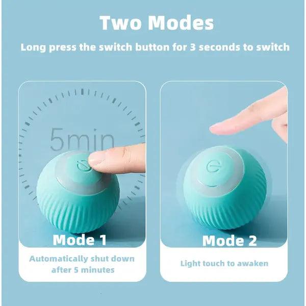 Smart Cat Ball Toys,,The Gift Dimension