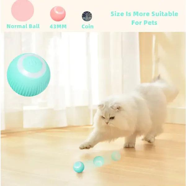 Smart Cat Ball Toys,,The Gift Dimension