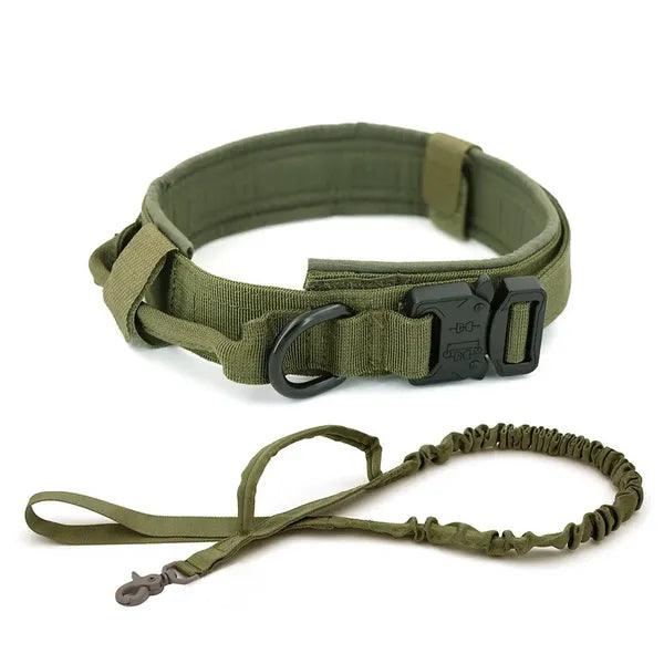 Dog Collar,Dog Collar,The Gift Dimension