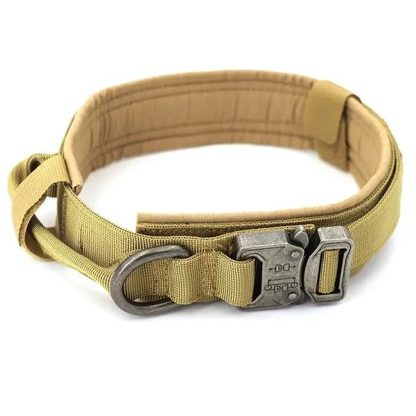Dog Collar,Dog Collar,The Gift Dimension
