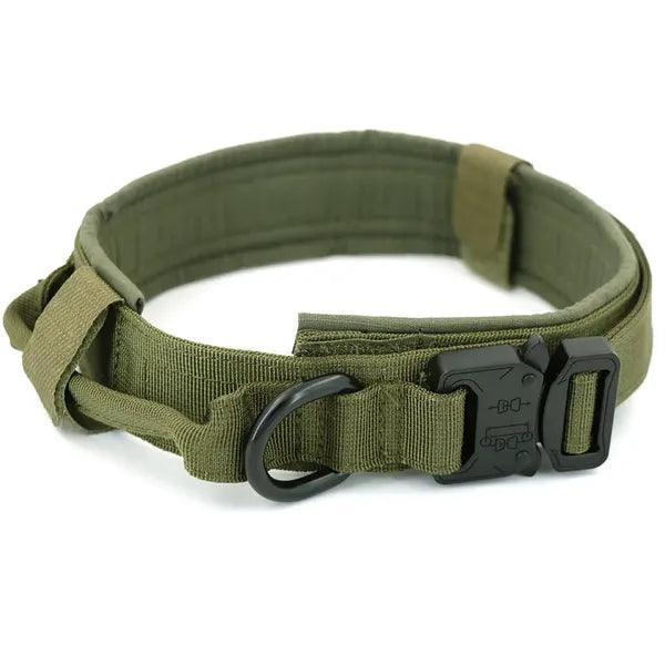 Dog Collar,Dog Collar,The Gift Dimension
