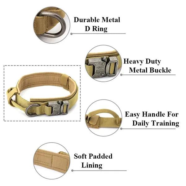 Dog Collar,Dog Collar,The Gift Dimension