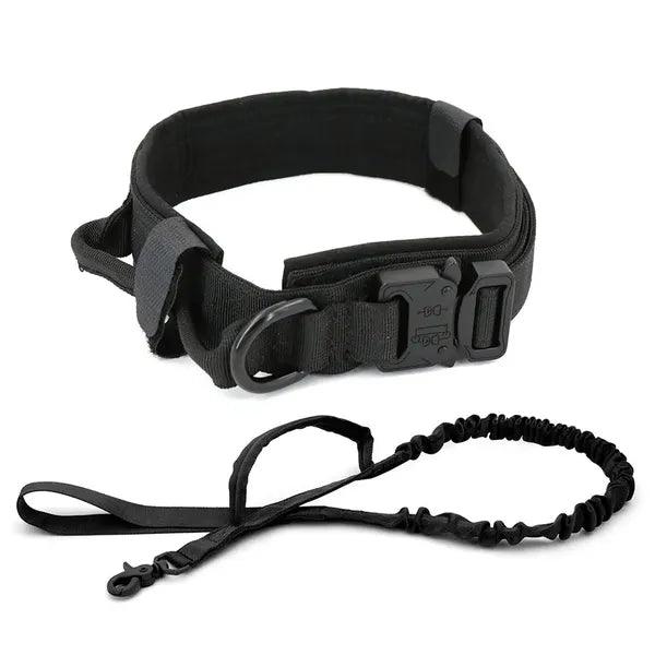 Dog Collar,Dog Collar,The Gift Dimension