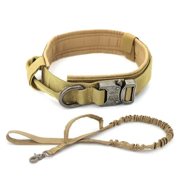 Dog Collar,Dog Collar,The Gift Dimension