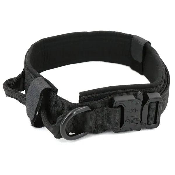 Dog Collar,Dog Collar,The Gift Dimension