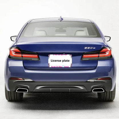 "If you can read this, You're in Spell Range" License Plate Holder,Custom License Plate Frame,The Gift Dimension