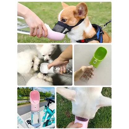 Pet Dog Water Bottle Feeder,,The Gift Dimension