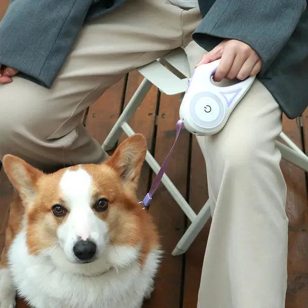Led Lights Dog Leash,Led Dog Leash,The Gift Dimension